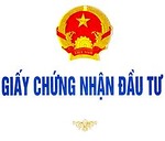 Tư vấn lập công ty nước ngoài tại Việt Nam