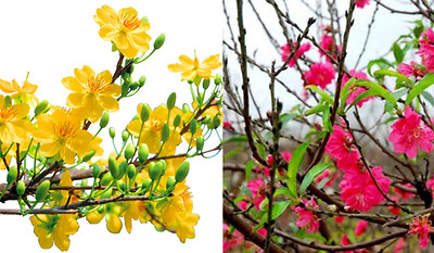 Thông báo lịch nghỉ Tết dương lịch năm 2022 Thông báo lịch nghỉ Tết dương lịch năm 2022