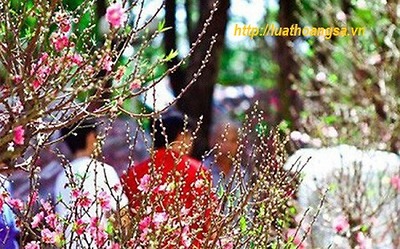 Thông báo lịch nghỉ Tết nguyên đán năm 2021