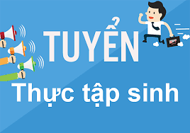 Tuyển nhân viên thực tập tại văn phòng Hà Nội