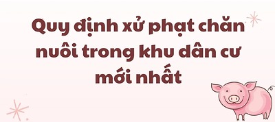 Chăn nuôi khu vực không được phép, xử phạt thế nào? Chăn nuôi khu vực không được phép, xử phạt thế nào?