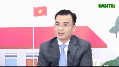 Mua tài sản bán đấu giá thi hành án như thế nào?